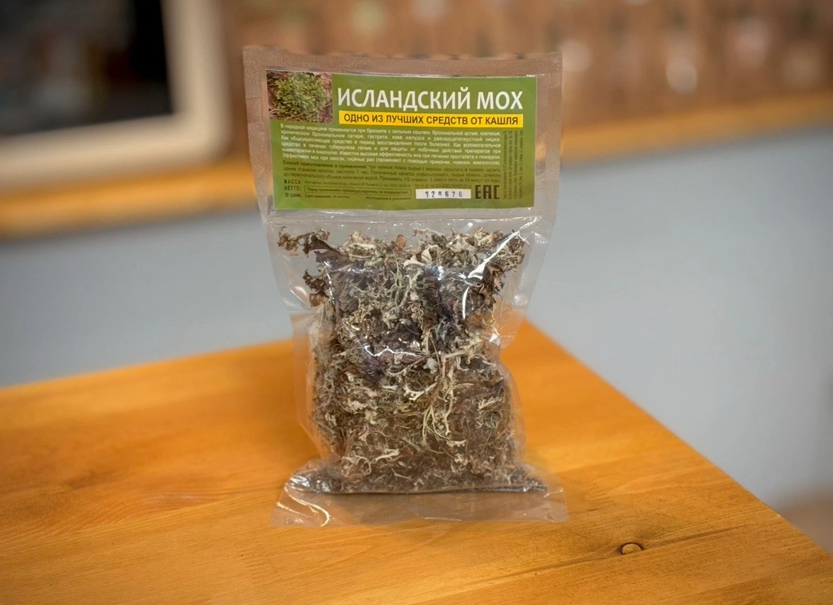 Исландский мох
