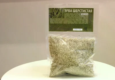Эрва шерстистая (пол-пола) — поддержка почек, выведение солей, профилактика камней.